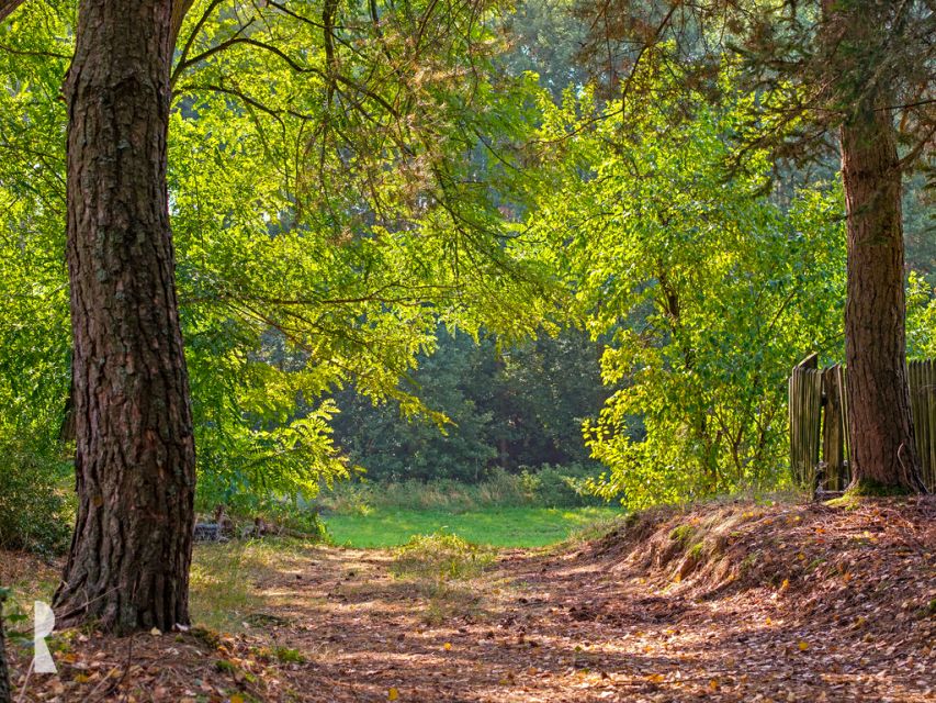 Działka siedliskowa sprzedam
