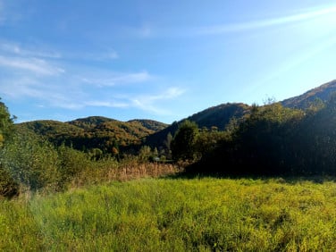 Działka budowlana Międzybrodzie