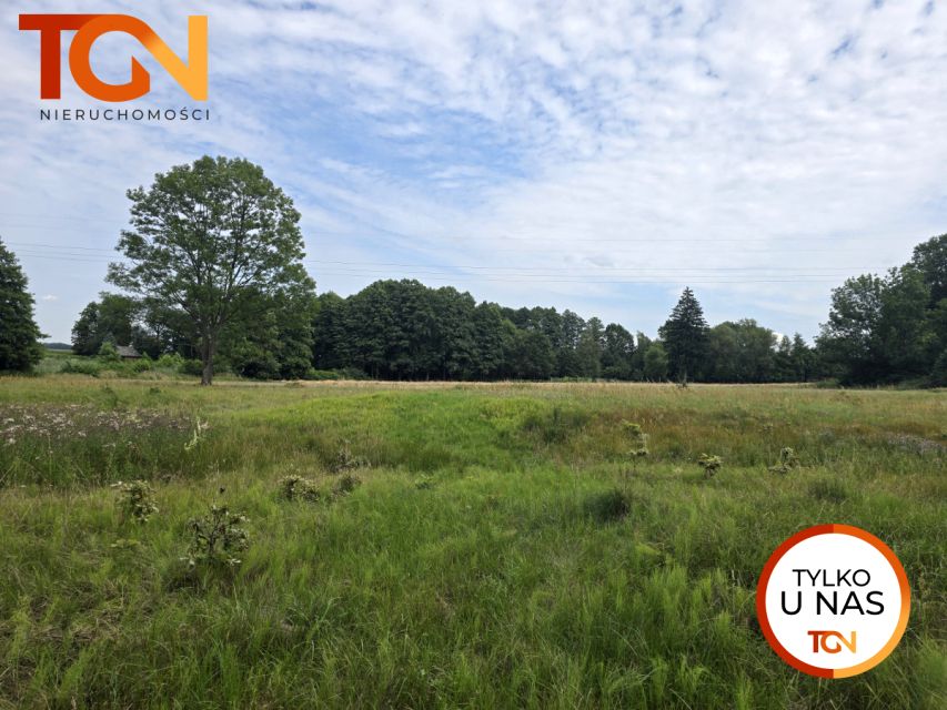 Działka budowlana Dziewuliny