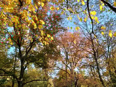 Mieszkanie Kraków sprzedaż