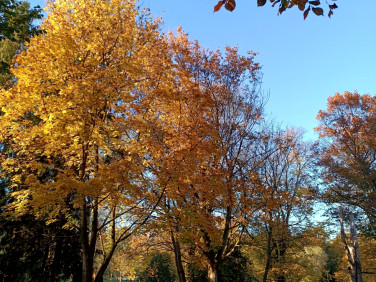 Mieszkanie nad jeziorem