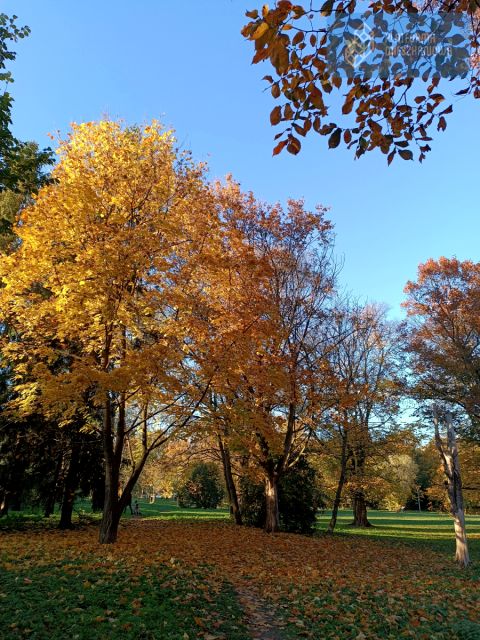 Mieszkanie nad jeziorem