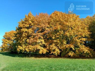 Mieszkanie blok mieszkalny przy lesie