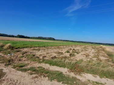 Działka rolna Rogów