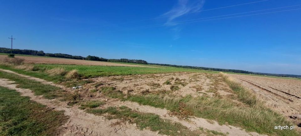 Działka rolna Rogów