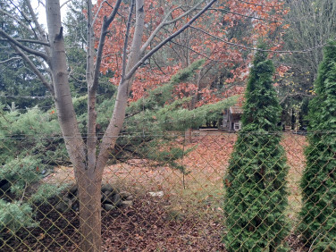 Działka budowlana Bolesławów