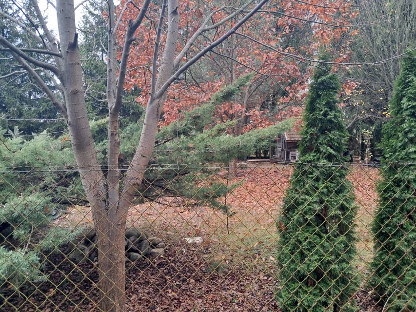 Działka budowlana Bolesławów