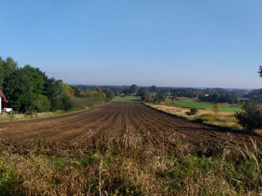 Działka budowlana Sączów