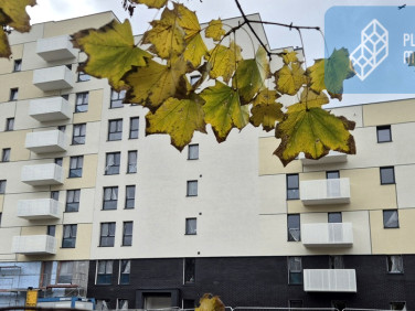 Mieszkanie przy lesie