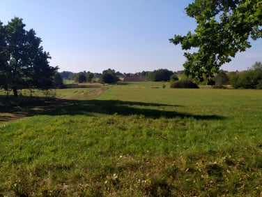 Działka usługowa Sączów
