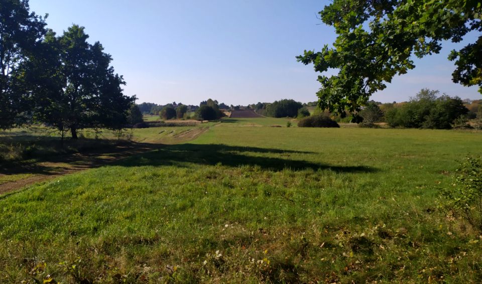 Działka usługowa Sączów