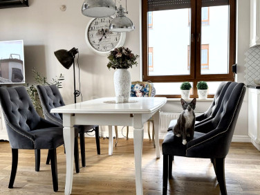 Mieszkanie przy lesie