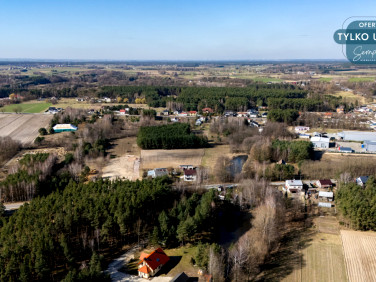 Działka przy lesie