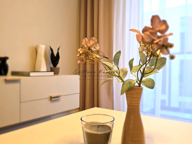 Mieszkanie apartamentowiec wynajem
