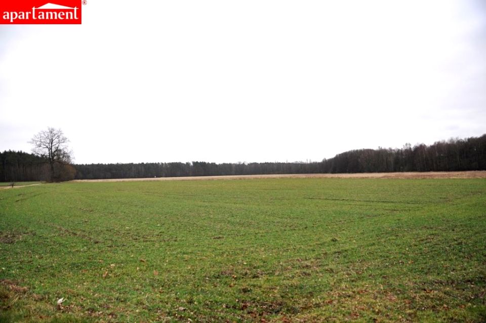 Działka budowlana Brzezinka