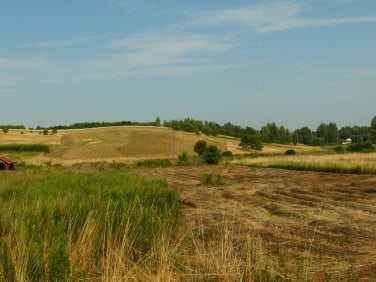 Działka inwestycyjna Lublica