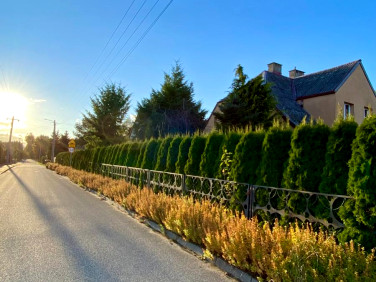 Dom Potęgowo sprzedaż