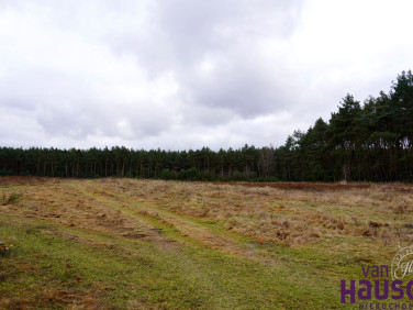 Działka Międzychód