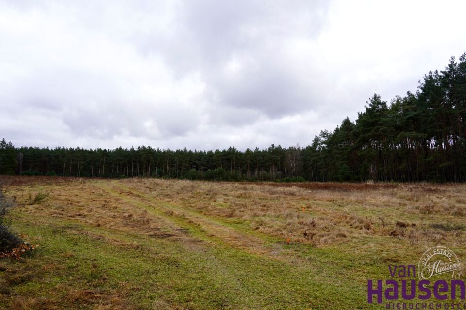 Działka Międzychód