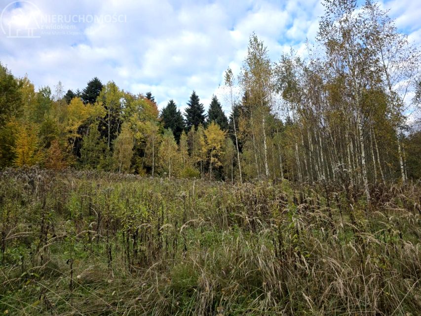 Działka rolna Strzeszyn