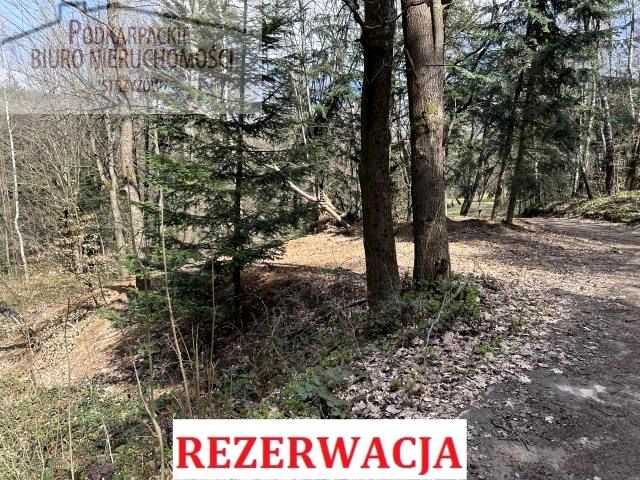 Działka Czarnorzeki