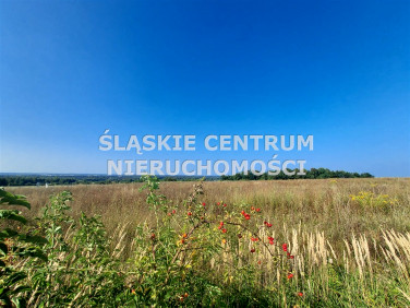 Działka budowlana Sadowie