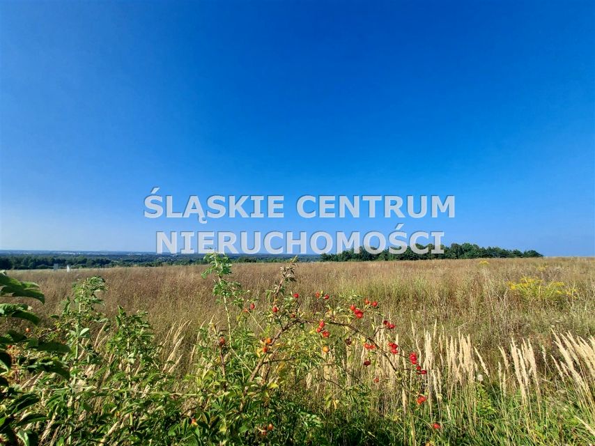 Działka budowlana Sadowie