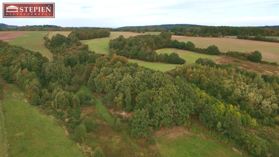 Działka rolna Pomocne