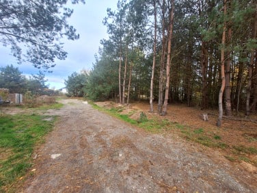 Działka budowlana Chrząstawa Wielka