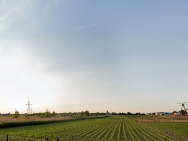 Działka inwestycyjna Ożarów Mazowiecki