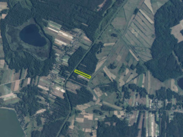 Działka leśna Stary Orzechów