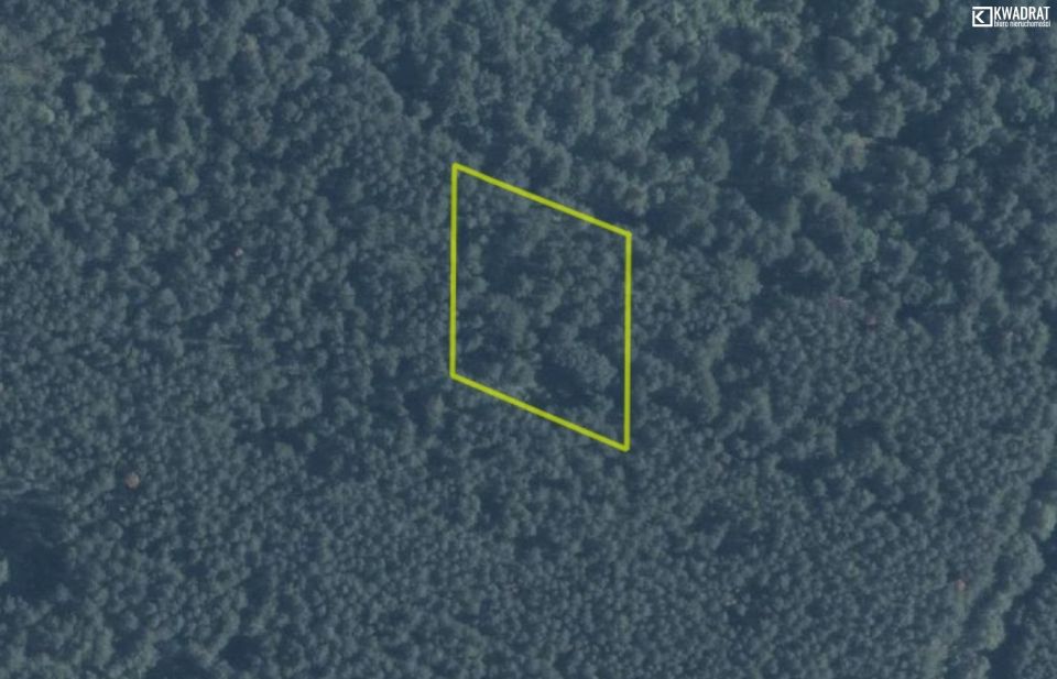 Działka leśna Białka