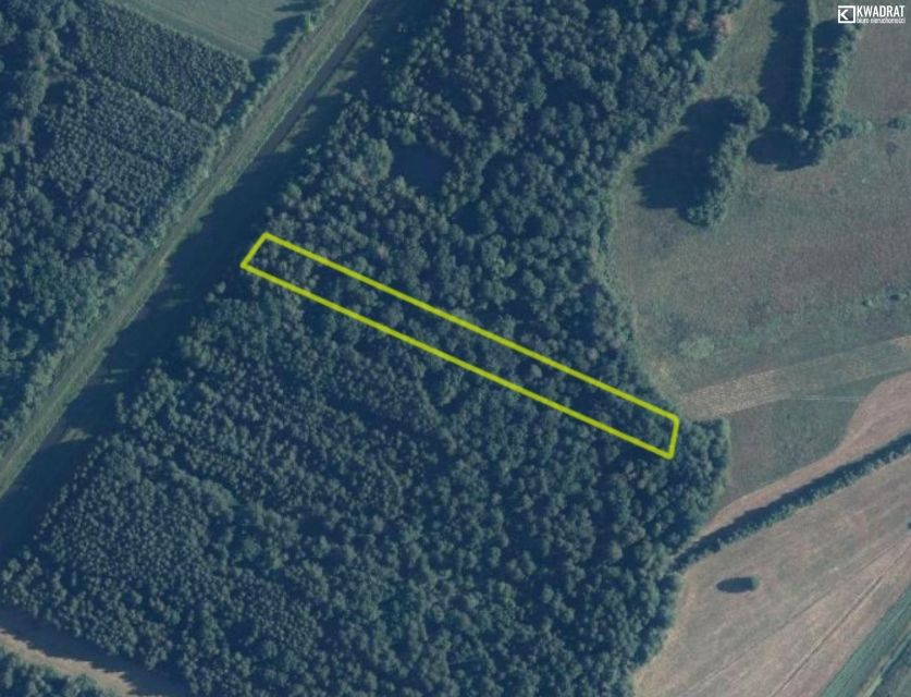 Działka leśna Stary Orzechów