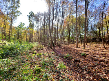 Działka budowlana Lipniak