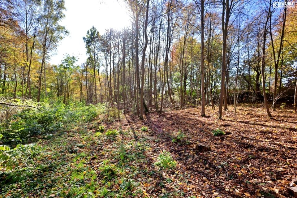 Działka budowlana Lipniak