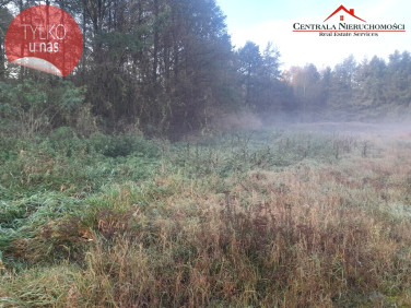 Działka Wielka Nieszawka