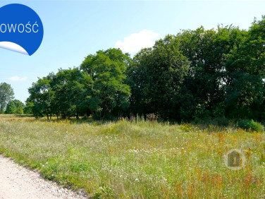 Działka budowlano-rolna Deszczno