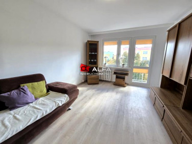 Mieszkanie blok mieszkalny wynajem