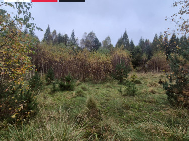 Działka inna Domatówko