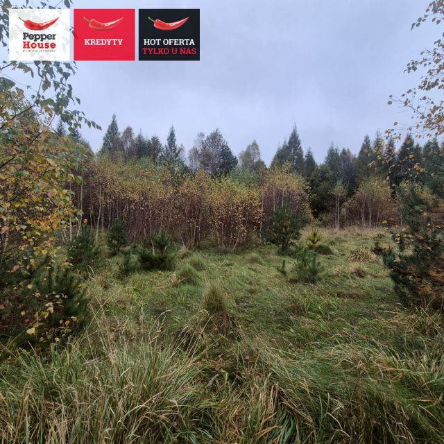 Działka inna Domatówko