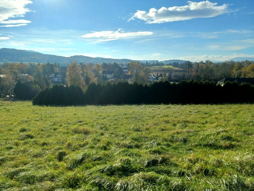 Zdjęcie 3