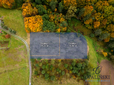 Działka przy lesie