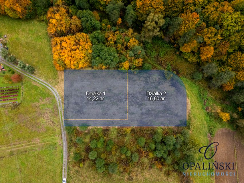 Działka przy lesie