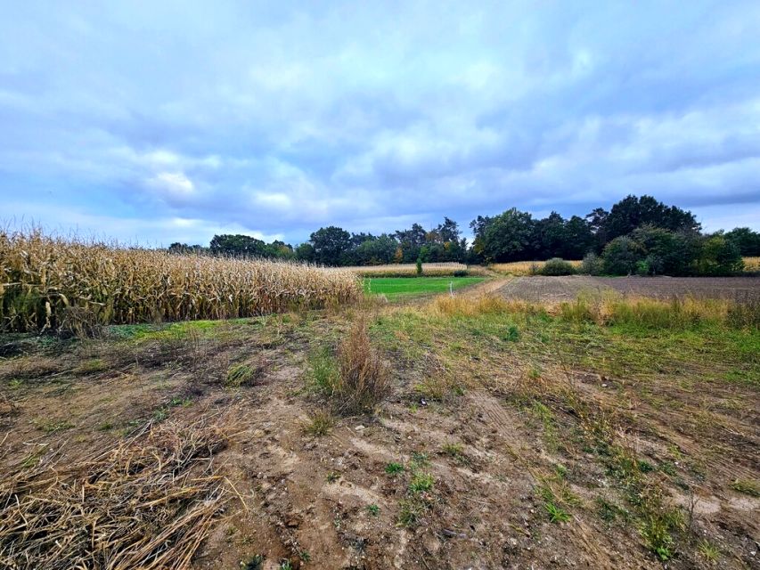 Działka budowlano-rolna Siekierowice