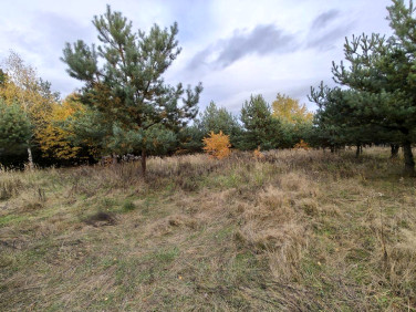 Działka Słabomierz