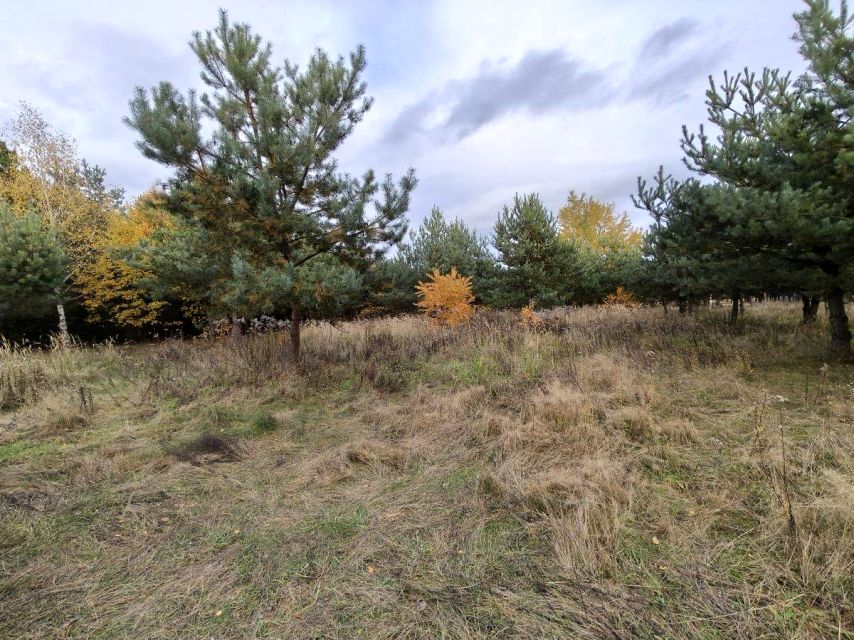 Działka Słabomierz