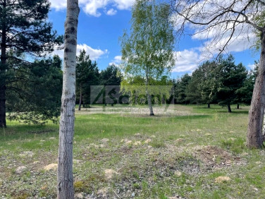 Działka budowlana Ojrzanów sprzedam