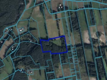 Działka rolna Łęczno sprzedam