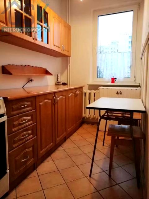 Mieszkanie blok mieszkalny wynajem