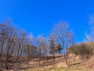 Działka budowlana Kocmyrzów-Luborzyca